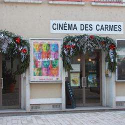 Restaurant Les Carmes - 1 - 