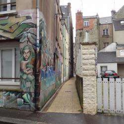 Cinna Meubles Patrice Juillard Concessionn Cherbourg En Cotentin