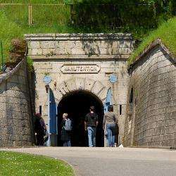 Citadelle Souterraine De Verdun Verdun