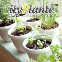 Jardinerie CITY PLANTES - 1 - 