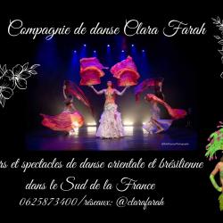 Ecole de Danse Clara Farah - 1 - Ecole De Danse Clara Farah Pour Apprendre La Danse Orientale Et La Samba Sur Aix En Provence Et Marseille - 