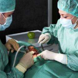 Clinique Implant Dentaire