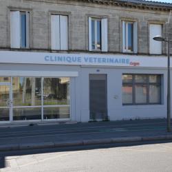 Clinique Vétérinaire Argos Bordeaux