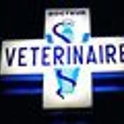 Vétérinaire Clinique vétérinaire  - 1 - 