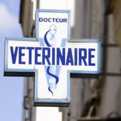 Vétérinaire CLINIQUE VÉTÉRINAIRE - 1 - 