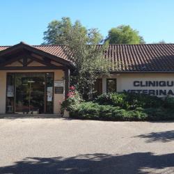 Clinique Vétérinaire Châtillon Sur Chalaronne