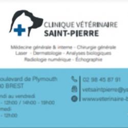 Clinique Vétérinaire De Brest Saint-pierre Brest