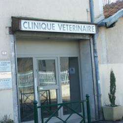 Vétérinaire CLINIQUE VETERINAIRE DE CHABEUIL - 1 - 