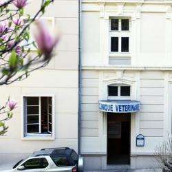 Clinique Vétérinaire De L'albion Aix Les Bains
