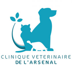 Vétérinaire Clinique Vétérinaire De L'arsenal - 1 - 