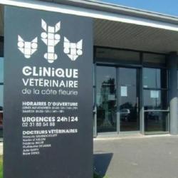 Hôpitaux et cliniques Clinique Vétérinaire De La Côte Fleurie - 1 - 