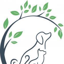 Animalerie Clinique Vétérinaire de la Haute Forêt - 1 - 