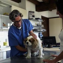 Animalerie Clinique Vétérinaire de Saint Aquilin de Pacy - Sevetys - 1 - 