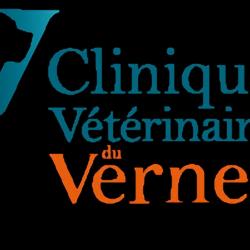 Hôpitaux et cliniques Clinique Vétérinaire de Vernet - 1 - 