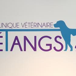 Hôpitaux et cliniques Clinique Vétérinaire des Etangs - 1 - 