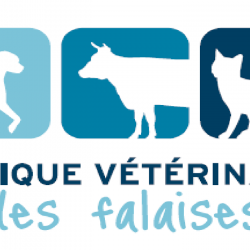 Vétérinaire Clinique Veterinaire Des Falaises - 1 - 