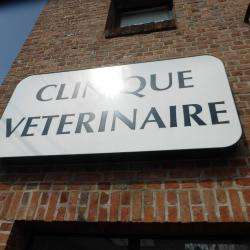 Vétérinaire Clinique Veterinaire Deschepper Et Van Vlierberghe - 1 - La Clinique Vétérinaire - 