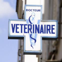 Clinique Vétérinaire Docteur C.clément Courdimanche