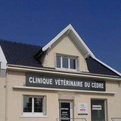 Clinique Vétérinaire Du Cèdre Saint Prix