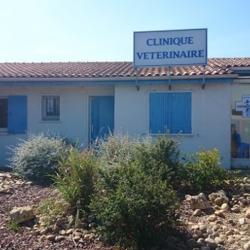 Animalerie Clinique vétérinaire du Crès - Sevetys - 1 - 