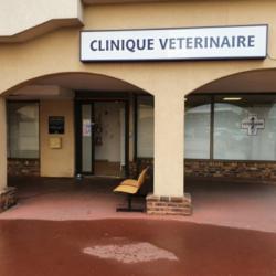 Animalerie Clinique vétérinaire du Pecq - Sevetys - 1 - 
