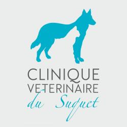 Hôpitaux et cliniques Clinique Vétérinaire du Suquet - 1 - 