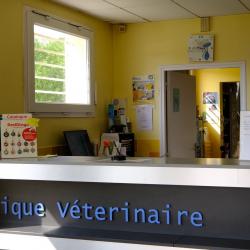 Clinique Vétérinaire Du Valasse - Gruchet-le-valasse - Sevetys Gruchet Le Valasse