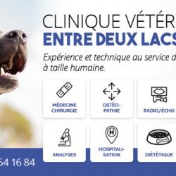 Hôpitaux et cliniques Clinique vétérinaire Entre deux lacs - 1 - 