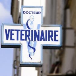 Clinique Vétérinaire Europa Boulogne Billancourt
