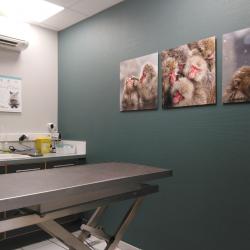 Hôpitaux et cliniques Clinique Vétérinaire Fegersheim - 1 - 