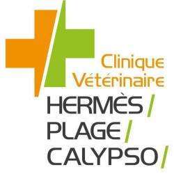 Vétérinaire CLINIQUE VéTéRINAIRE HERMES - 1 - 