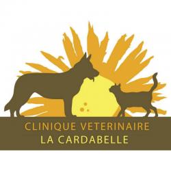 Vétérinaire Clinique Vétérinaire La Cardabelle - 1 - 