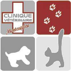 Vétérinaire Clinique Vétérinaire Montesquieu - 1 - 