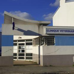 Animalerie Clinique Vétérinaire Pont-Neuf - Brest - Sevetys - 1 - 