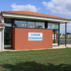 Clinique Veterinaire St Leonard Chemillé En Anjou