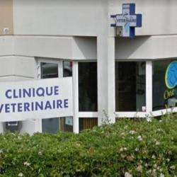 Vétérinaire Clinique Vétérinaire - 1 - 