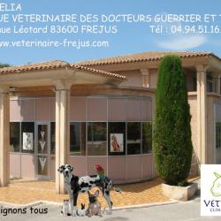 Vétérinaire Clinique Vétérinaire Vet'Aurelia - 1 - 