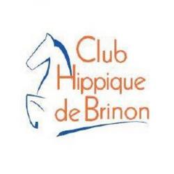 Centre équestre Club Hippique De Brinon - 1 - 
