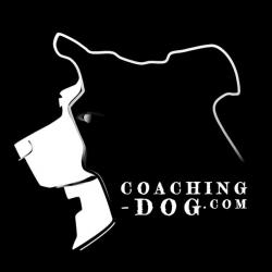 Coaching Dog - Sylvain Lemoussu Pierreville