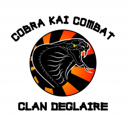 Cobra Kai Combat Toulon