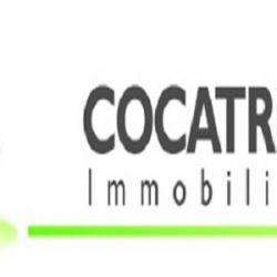 Cocatrix Immobilier Annecy