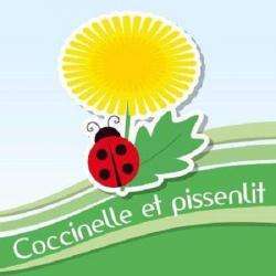 Coccinelle Et Pissenlit Parmain