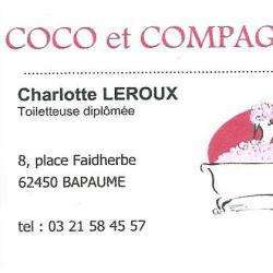 Coco Et Compagnie Bapaume