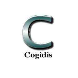 Commerce Informatique et télécom cogidis - 1 - Cogidis Sarl - 