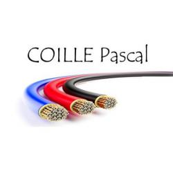 Coille Pascal