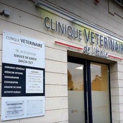 Clinique Vétérinaire De L'etoile Raismes