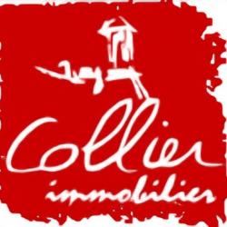 Agence immobilière Collier Immobilier - 1 - 