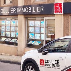 Agence immobilière Collier Immobilier - 1 - 