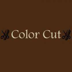 Color Cut