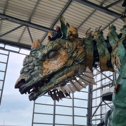 Compagnie Du Dragon De Calais
